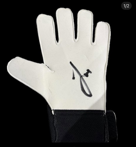 Joe hart manchester - manchester, city