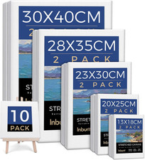 Canvas for Painting, 10 Pack Multi Sizes Canvas, Art Canvases for Painting