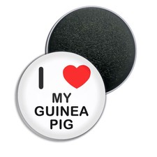 My Guinea Pig I Love Heart