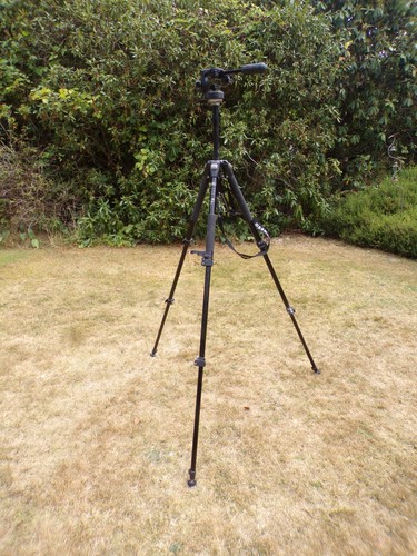 Manfrotto professional - manfrotto,