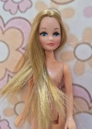 Vintage 1970 palitoy pippa - 1970's,