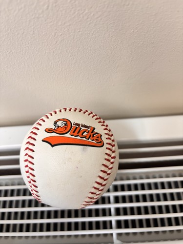 Long island ducks gift shop - long,