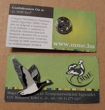 Mme barnacle goose - mme,