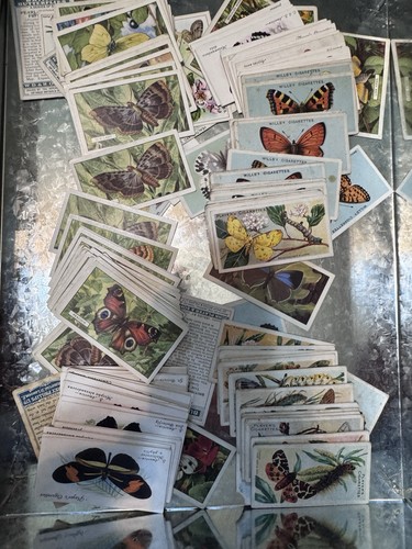 Butterflies - x,