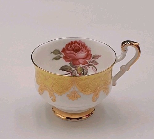 Paragon yellow and - paragon,