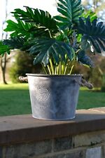Round Zinc Pot Garden Flowers