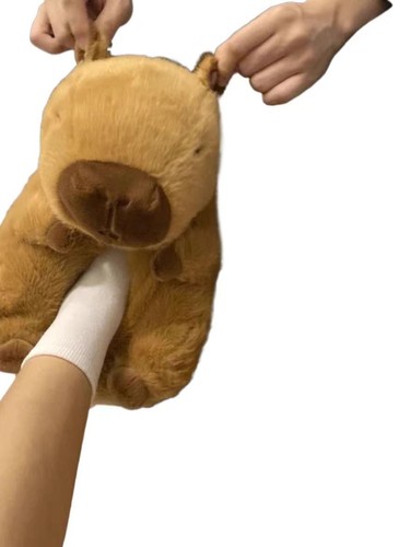 Bear cotton slippers plush - cotton,