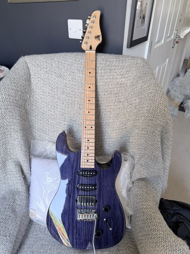 Chapman ml1x partscaster - ml1x,