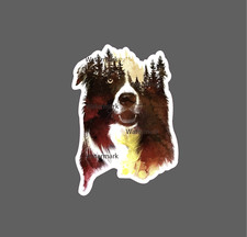 Dog Wild Sticker Border Collie