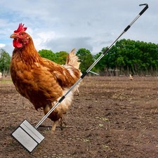 25cm Poultry Manure Scoop