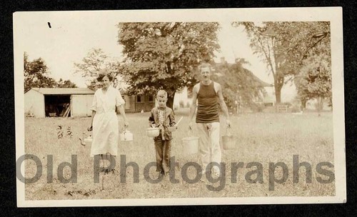 Odd weird family grassy - odd,