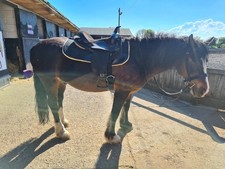 Big Horn Western Saddle. Black