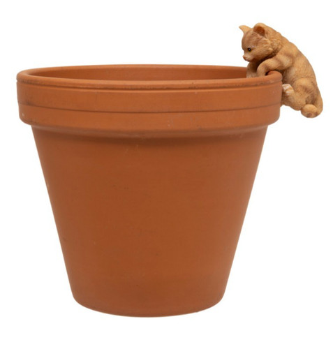 Cute kitten pot - kitten,