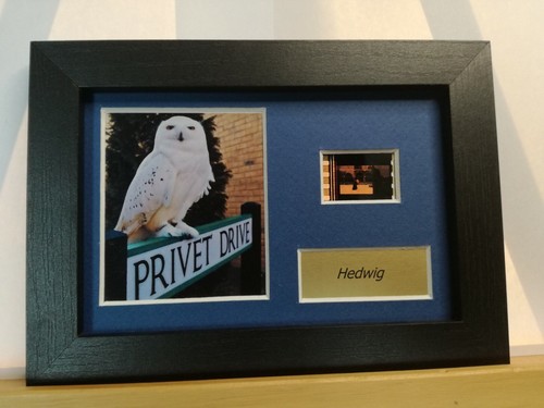 Hedwig x 4 - hedwig, 6"