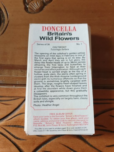Doncella britain s - doncella, (players)