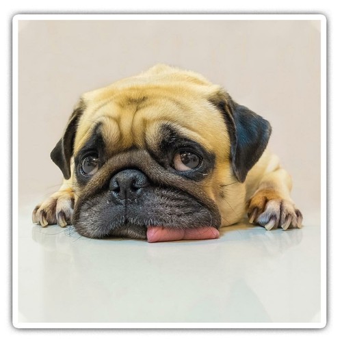 Square stickers cm - 2,