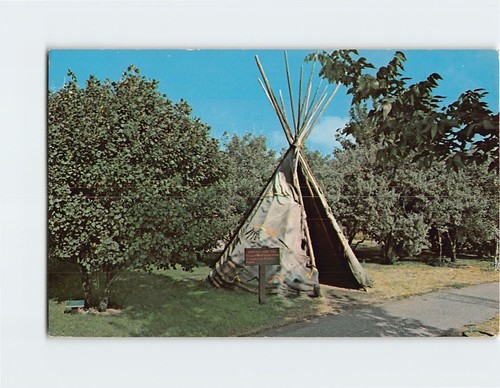 Postcard buffalo hide tipi - postcard,