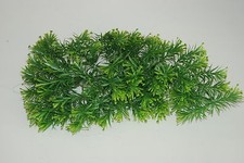 Vivarium Realistic Plastic