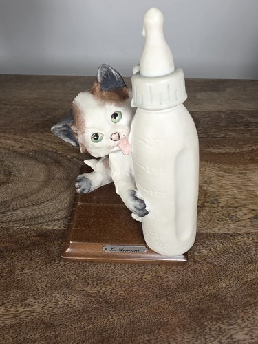 Giuseppe armani kitten with - armani,