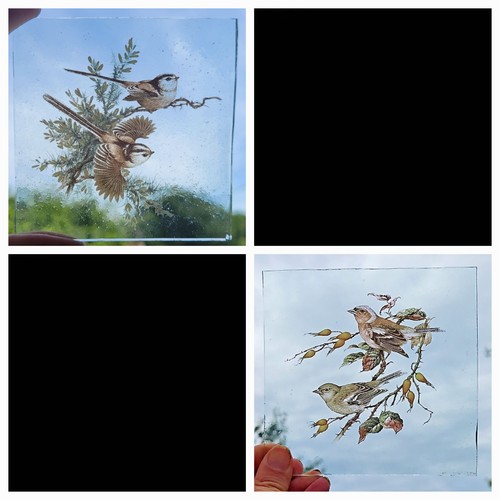 Stained glass bird pieces - stained,