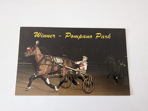 Vintage postcard winner - postcard,