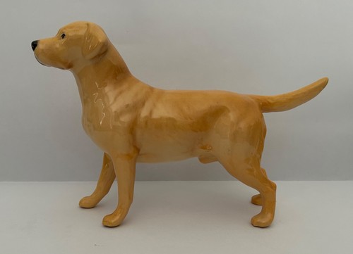 Bewick glossy golden labrador - golden,