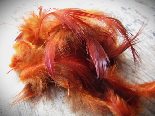 Ifs natural golden - ifs,