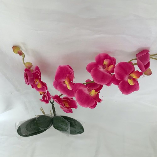 Set orchid sets high - orchid,