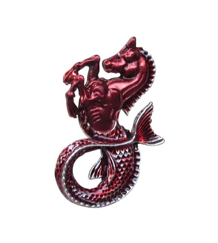 Seahorse jewelry brooch - seahorse,
