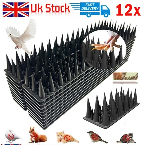 Bird spikes for - for, pigeon