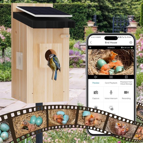 Smart bird house - house, 5mp