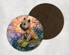 Cairn Terrier Dog Spring