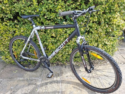 Men scott tampico mountain - men's,