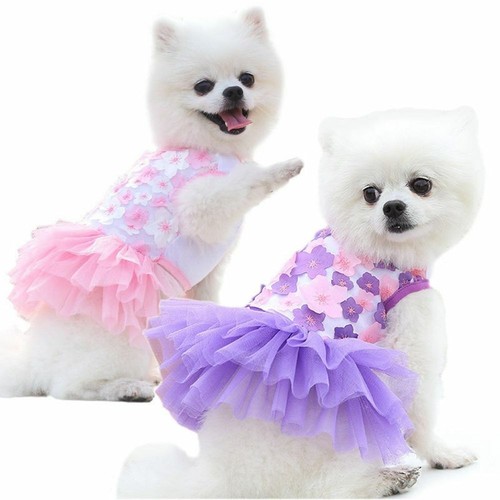 Cute pet dogs dress - pet, lace