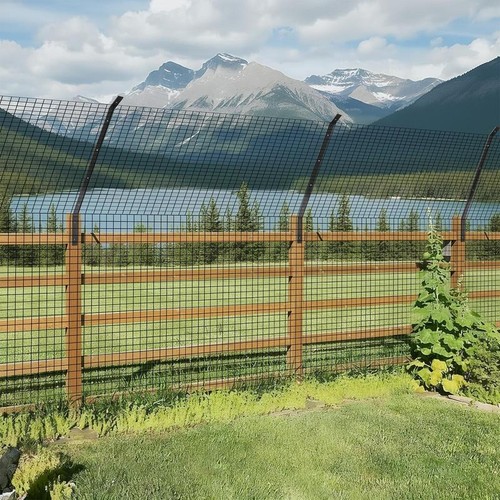 Cat fencing barrier proof - fencing,
