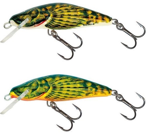 Salmo bullhead sinking - salmo,
