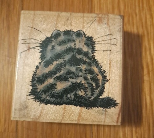 Penny black cat tankerous - penny,