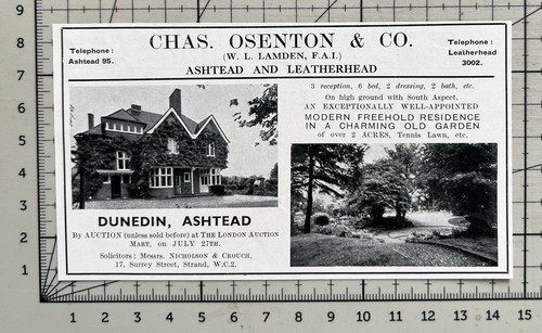 Dunedin ashtead surrey for - ashtead,