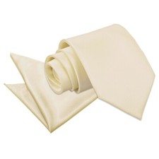 Champagne Satin Plain Solid