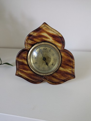 Small tiger shell - tiger,