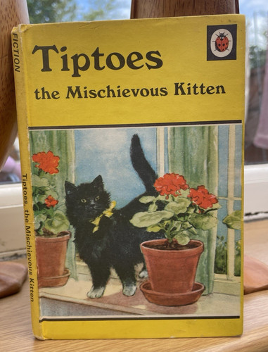 Vintage old ladybird - vintage, book