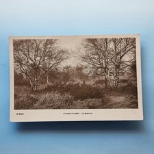 Chislehurst Postcard C1910 Real Photo London Suburbs Early View Of The Common