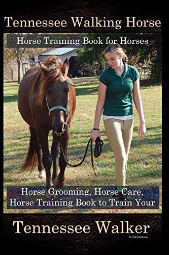 Tennessee walking horse - tennessee,
