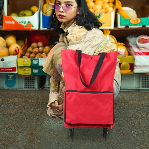 Shopping cart bag with wheels - cart,