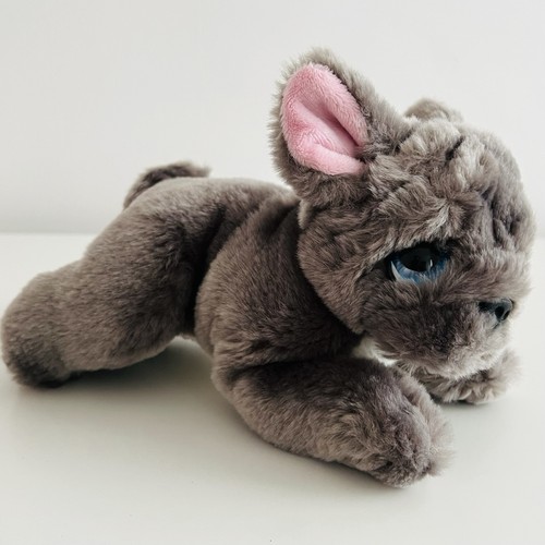 Keel grey french bulldog dog - keel,