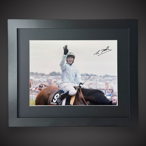 Framed kieren fallon horse - framed,