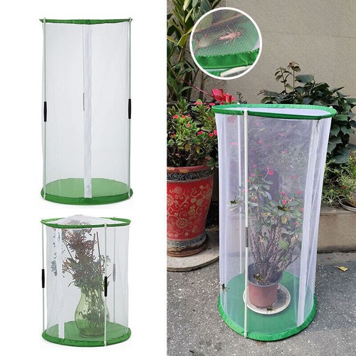 60cm butterflies habitat cage - 60cm,