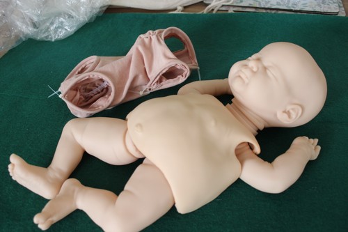Baby azalea laura lee - azalea, by
