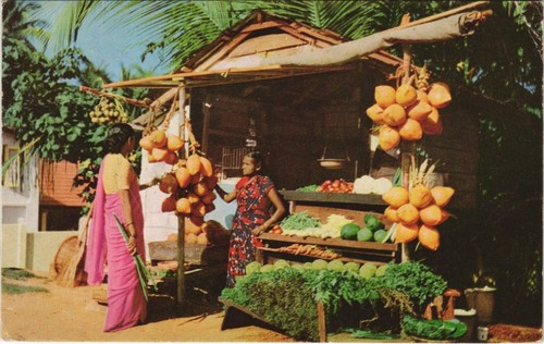 Cpm way side fruit - a,