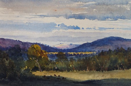 Original watercolour green - original, watercolour,
